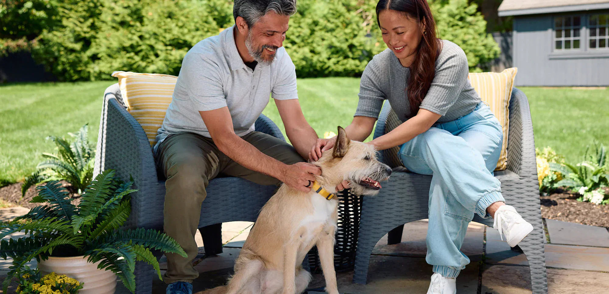 Models petting dog