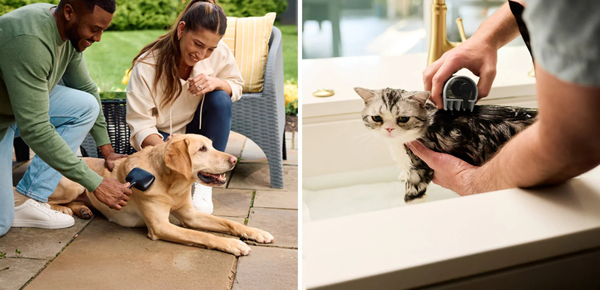 The Right Grooming Tool for Every Need: Understanding Pet Brushes and Combs