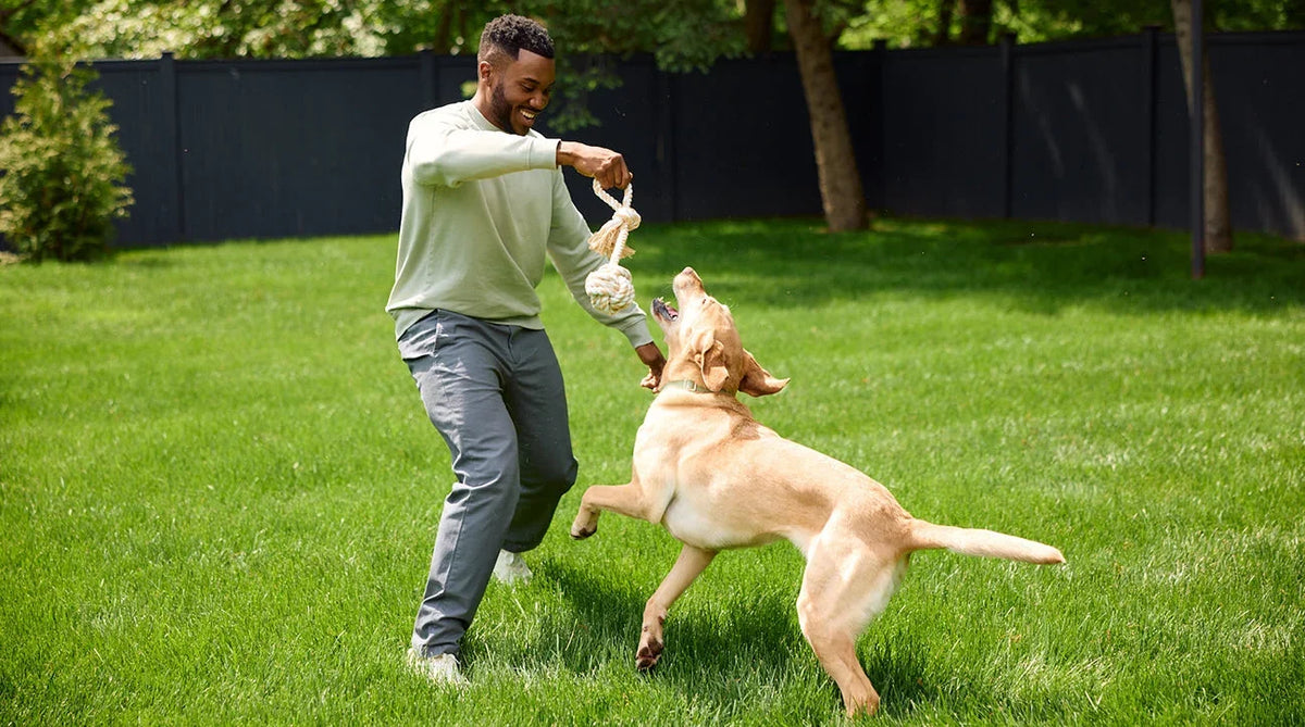 Male model playing with dog