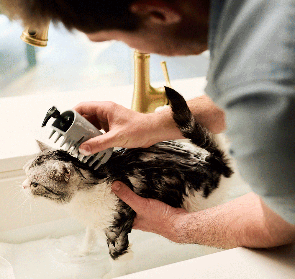 male and female model grooming pets