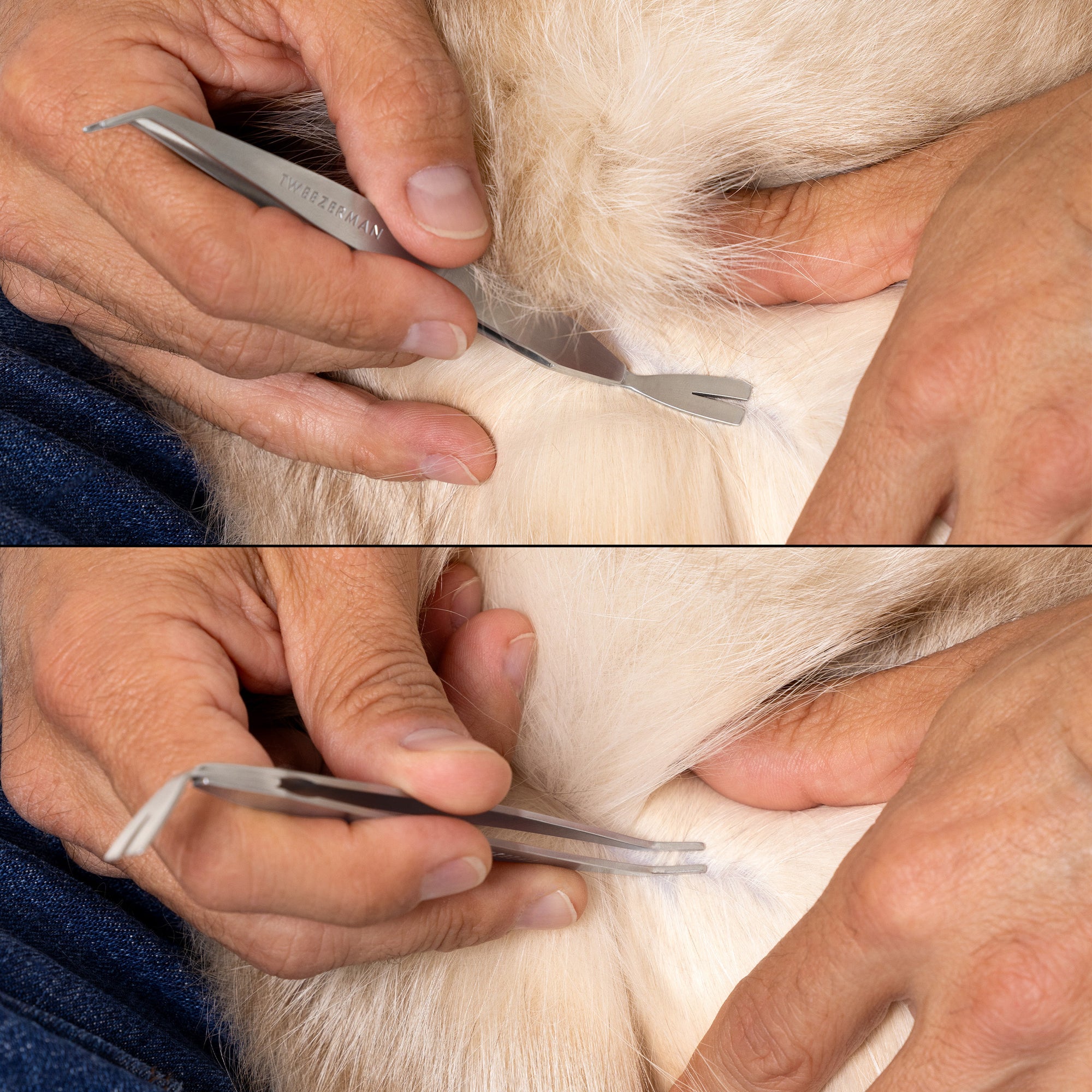 Model using Pet Tick Removal Kit to extract out of Cat's hair