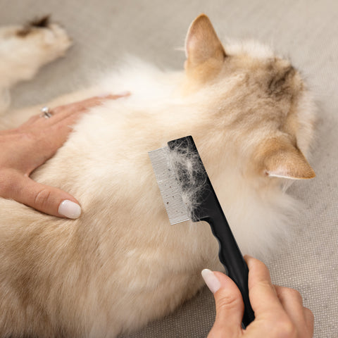 Modèle peignant le pelage du dos d’un chat à l’aide du peigne antipuce de précision à rangée simple pour animaux.