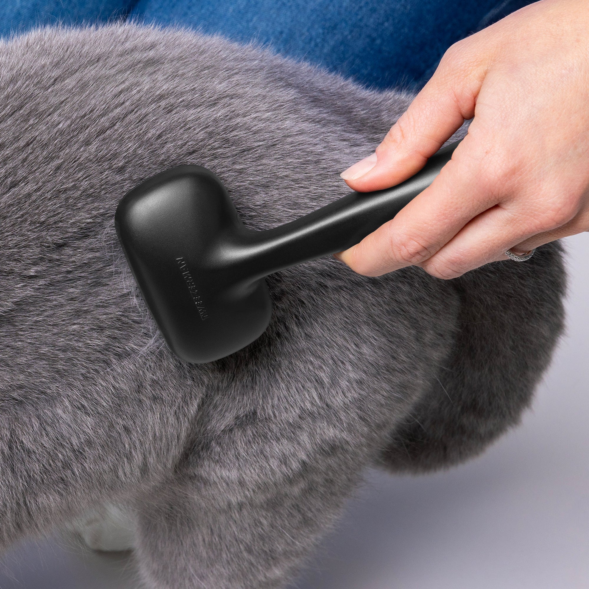 Model brushing curly-haired short coat dog with Small Coated Tip Slicker Brush