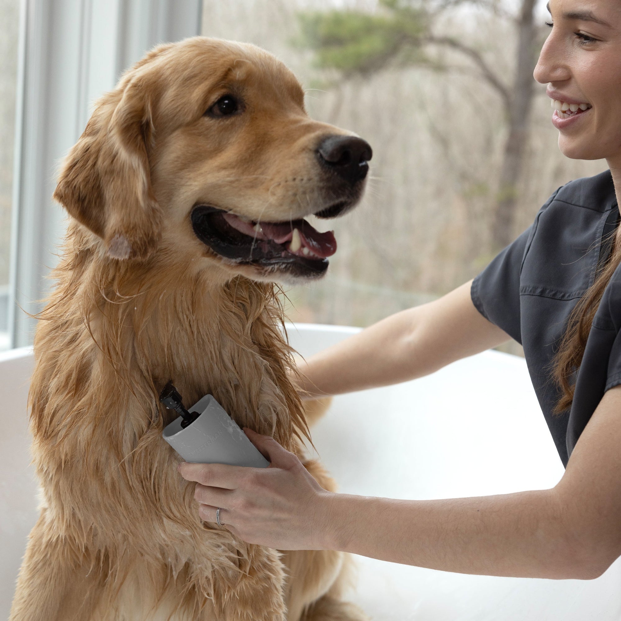 Tenir la main Brosse de bain 2-en-1 shampooing avec poils brosser le pelage du chien