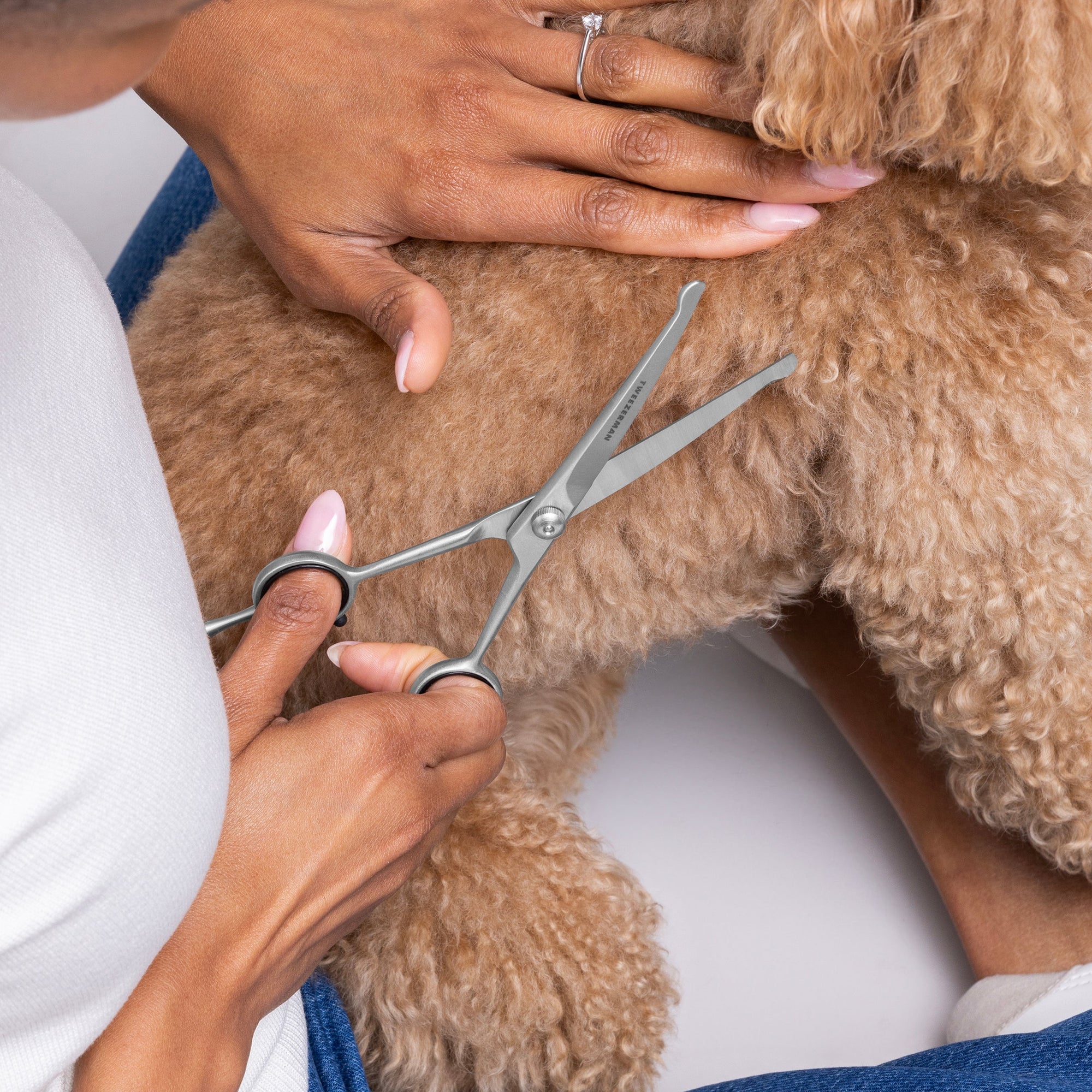 Des ciseaux de toilettage pour chiens et chats en acier inoxydable utilisés pour couper l’excès de poils d’animaux d’un chiot.